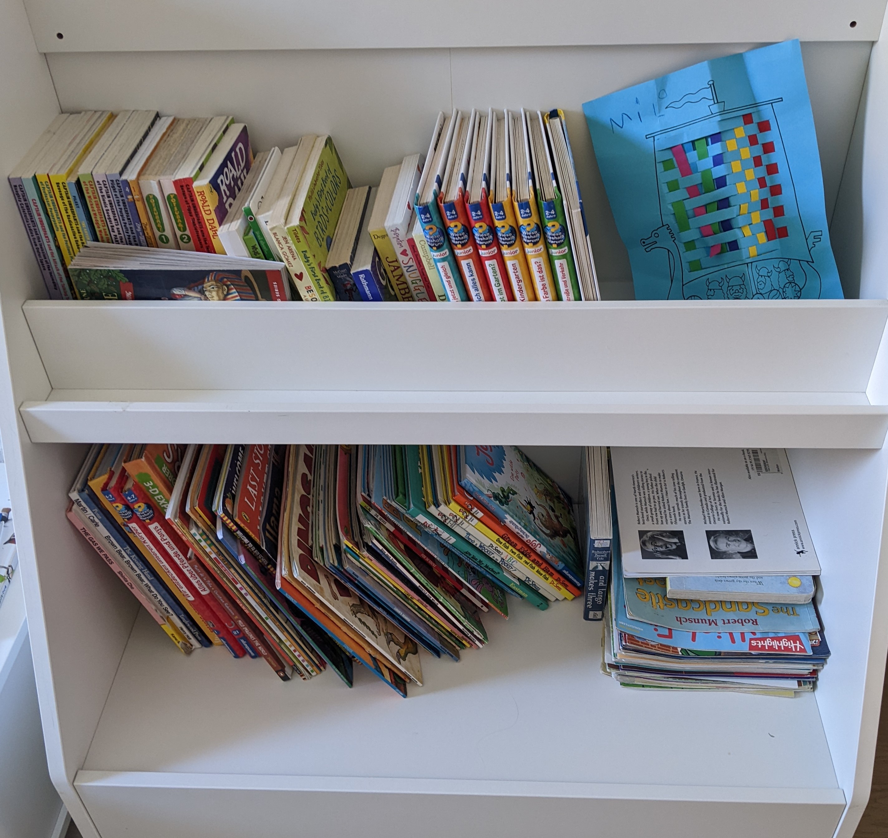 My son's bookshelf